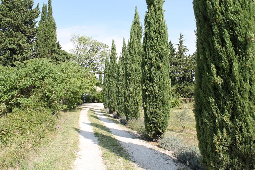 Le Mas Mérindol Gîte Ventoux Loriol-du-Comtat Chambre photo