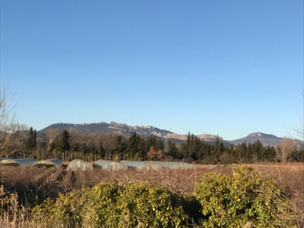 Le Mas Mérindol Gîte Ventoux Loriol-du-Comtat Extérieur photo