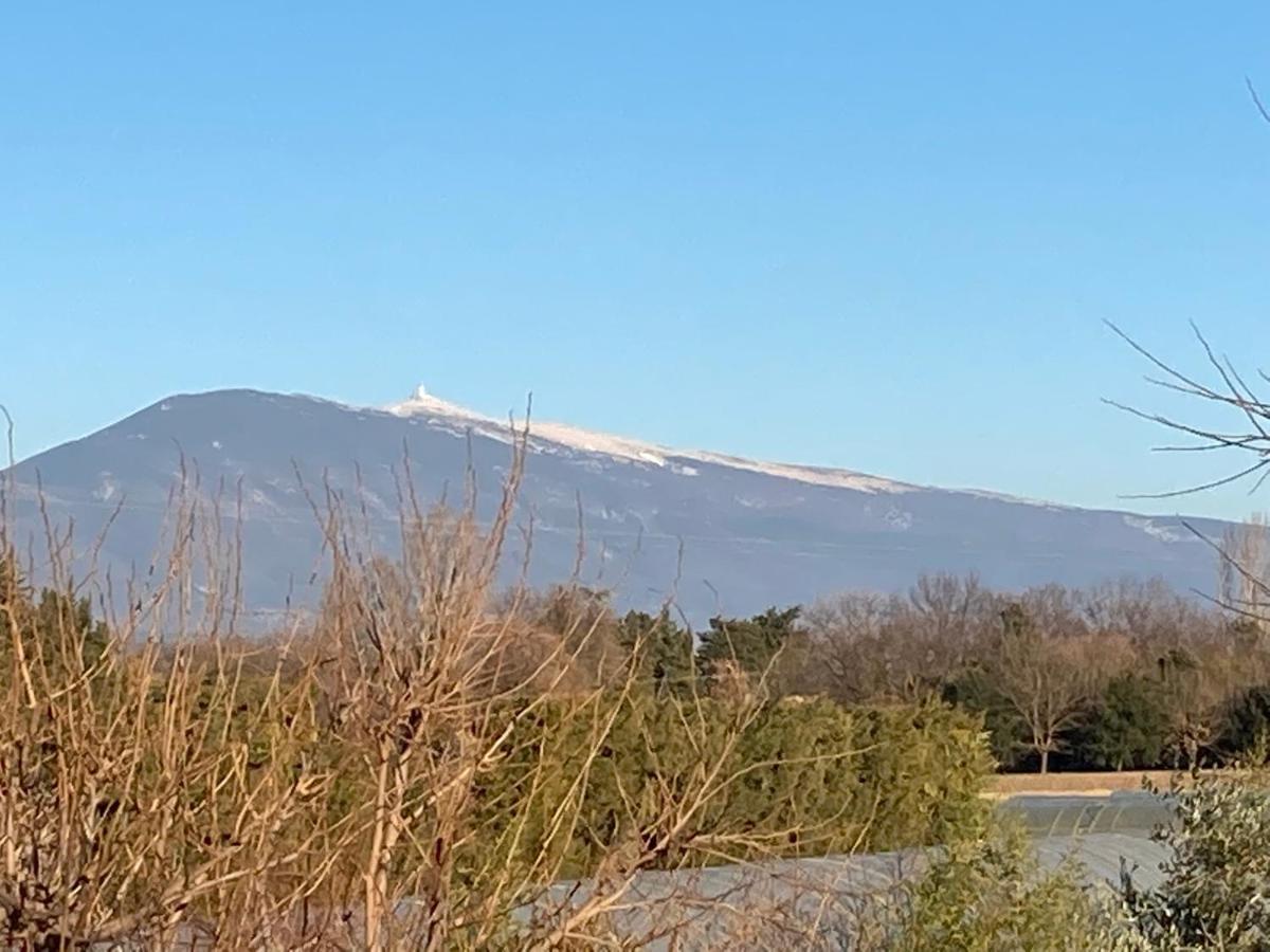 Le Mas Mérindol Gîte Ventoux Loriol-du-Comtat Extérieur photo