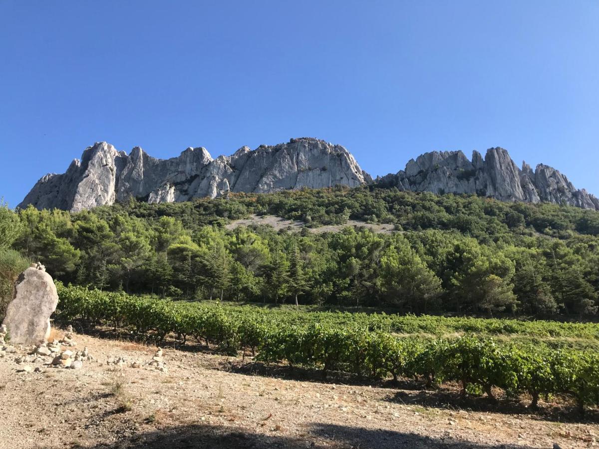 Le Mas Mérindol Gîte Ventoux Loriol-du-Comtat Extérieur photo